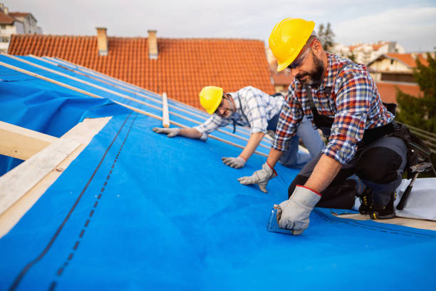Best Storm Damage Roof Repair  in Lincolnton, GA